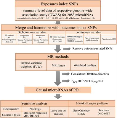 Frontiers | Systematic Genome-wide Mendelian Randomization Reveals The ...